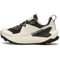 Incaltaminte Sport Salomon SHOES ELIXIR GTX W