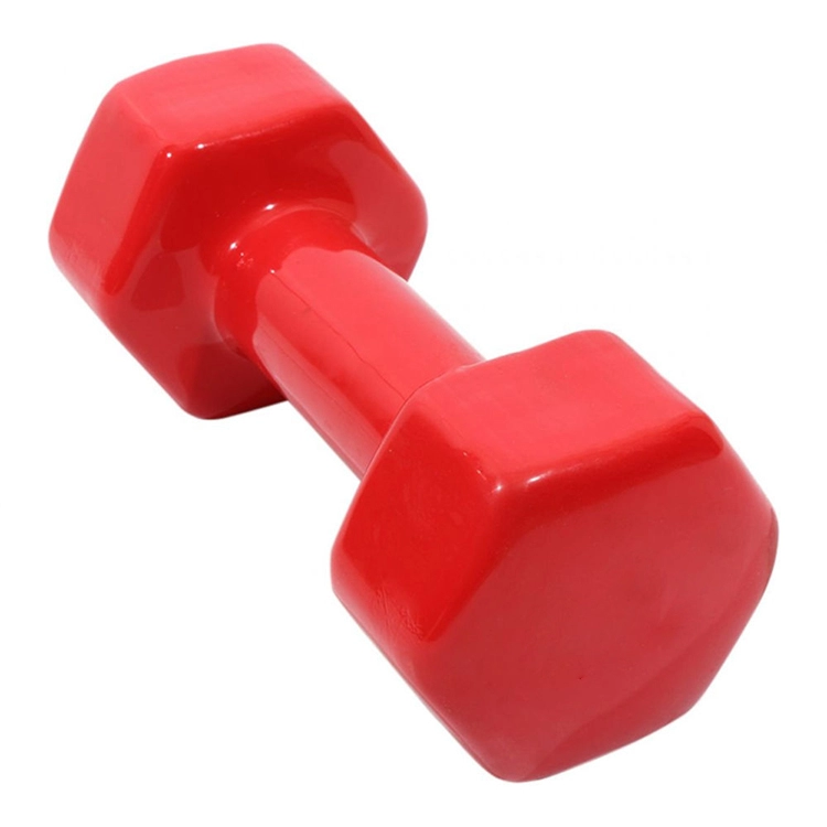 Gantera SILAPRO Dumbbell 6 kg