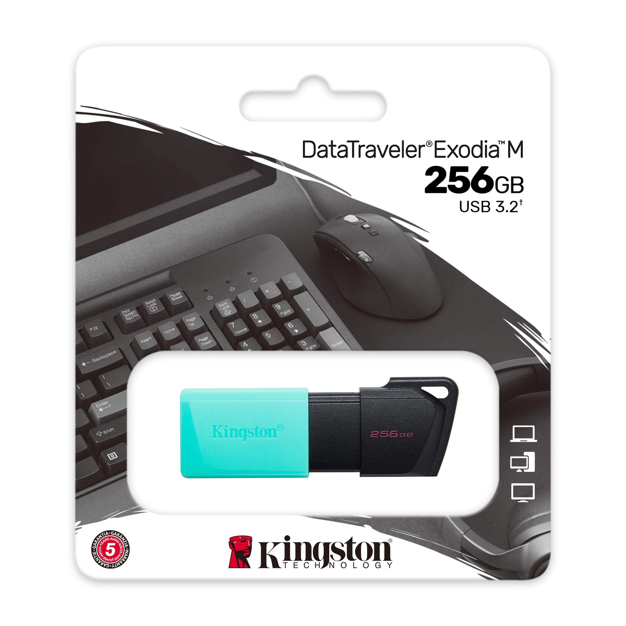 Флеш-накопитель USB Kingston DataTraveler Exodia M 256ГБ / Black/Mint