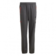 Pantaloni Adidas U CE Q2 CRGO PT