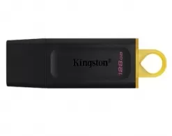 USB Flash Kingston DTX128GB