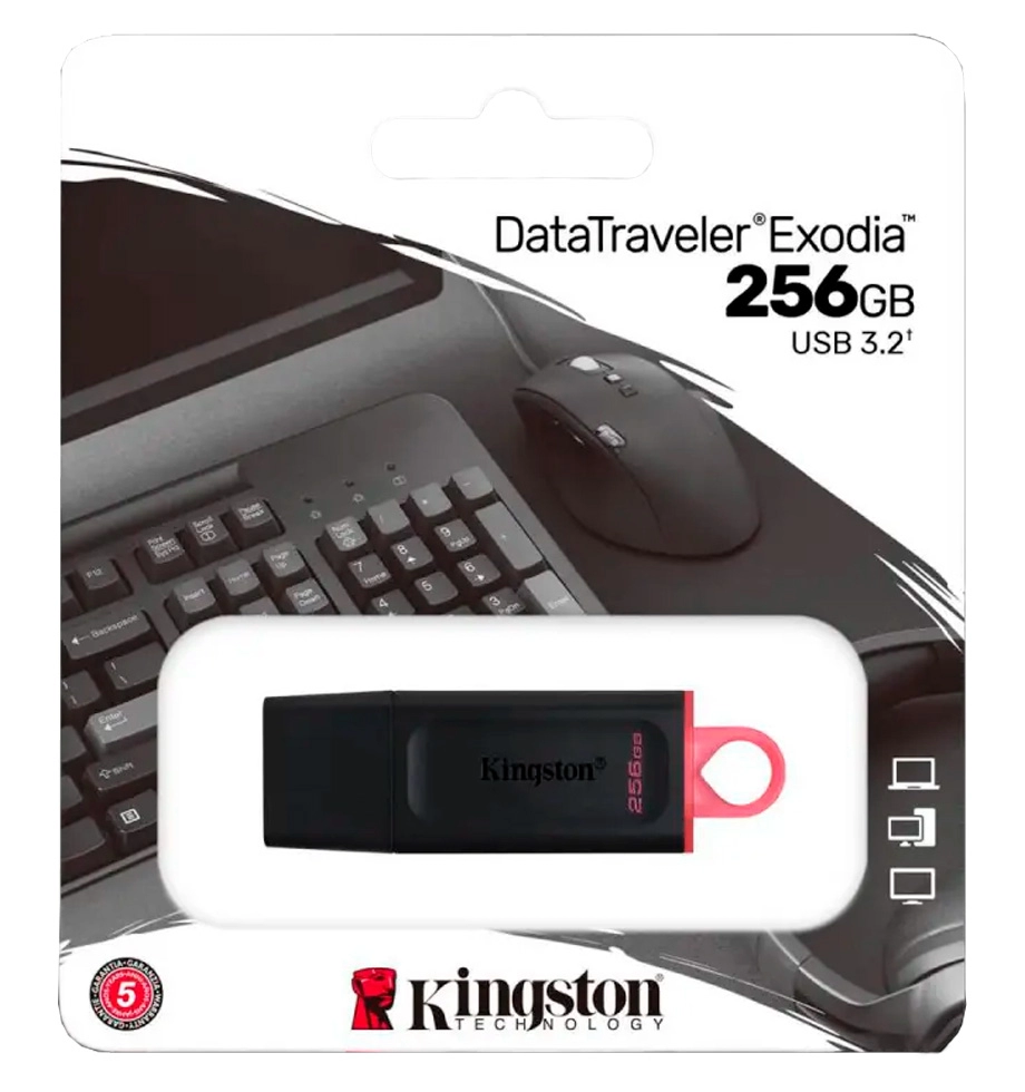 USB Флэш Kingston DTX256GB