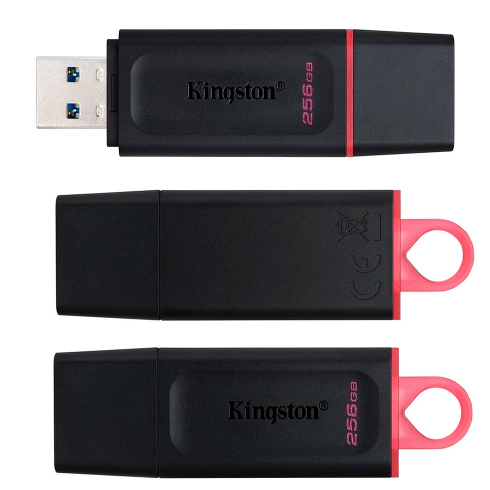 USB Флэш Kingston DTX256GB
