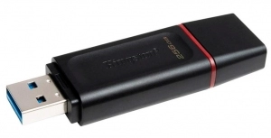 USB Флэш Kingston DTX256GB