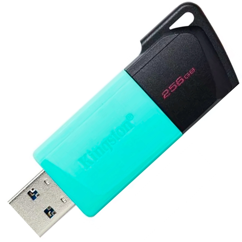 USB Флэш Kingston DTXM256GB