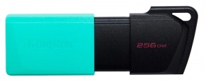 USB Флэш Kingston DTXM256GB