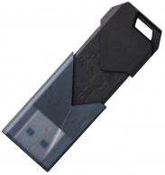 USB Flash Kingston DTXON256GB