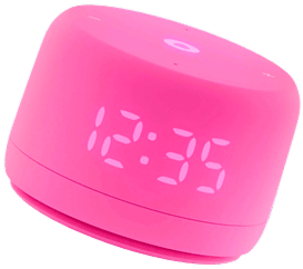 smart speaker