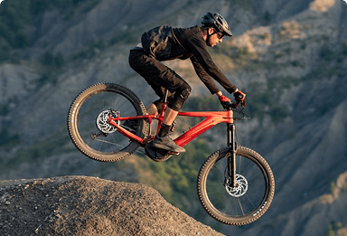 bicycle by purpose