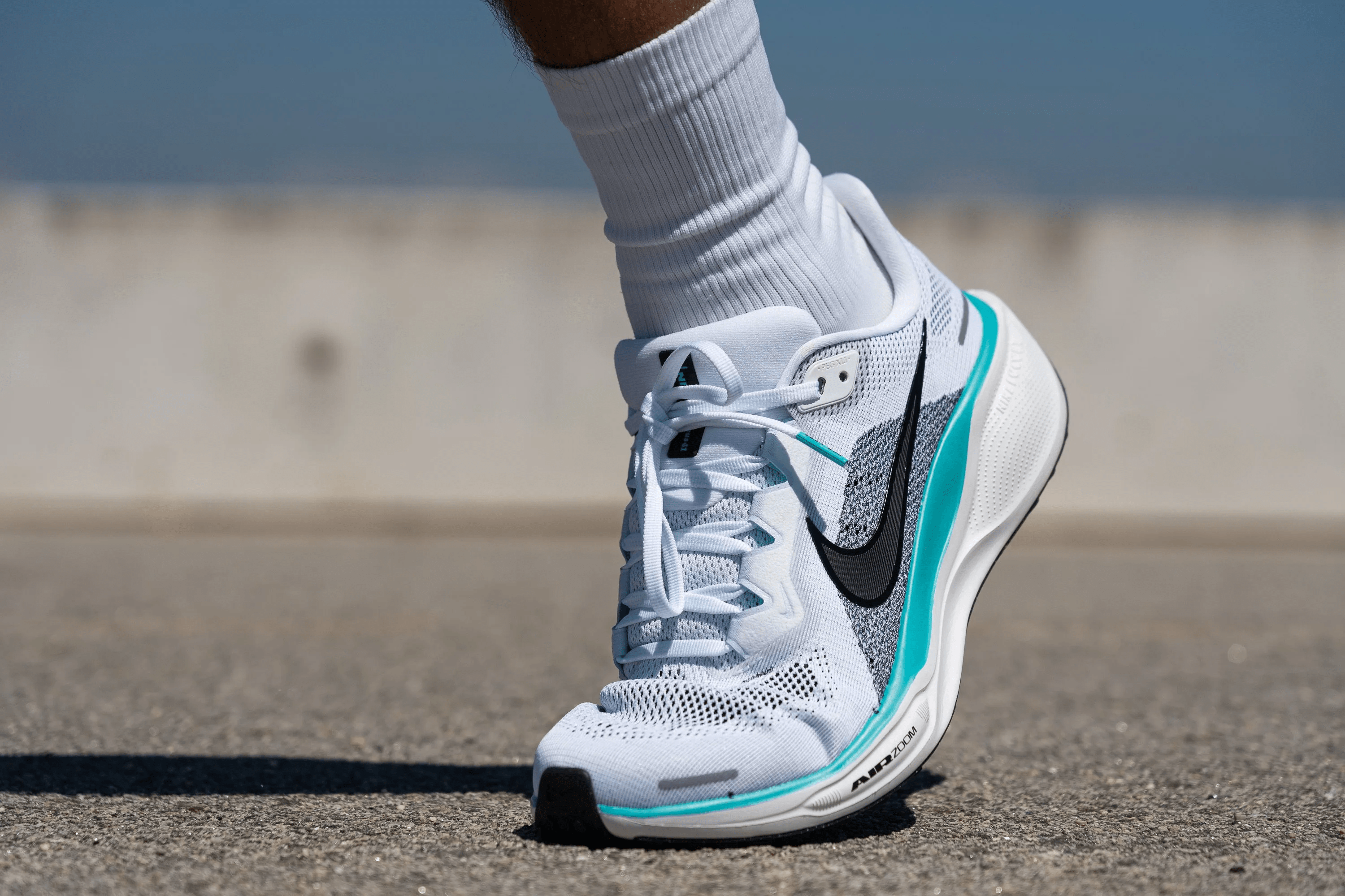 Nike Air Zoom Pegasus 41