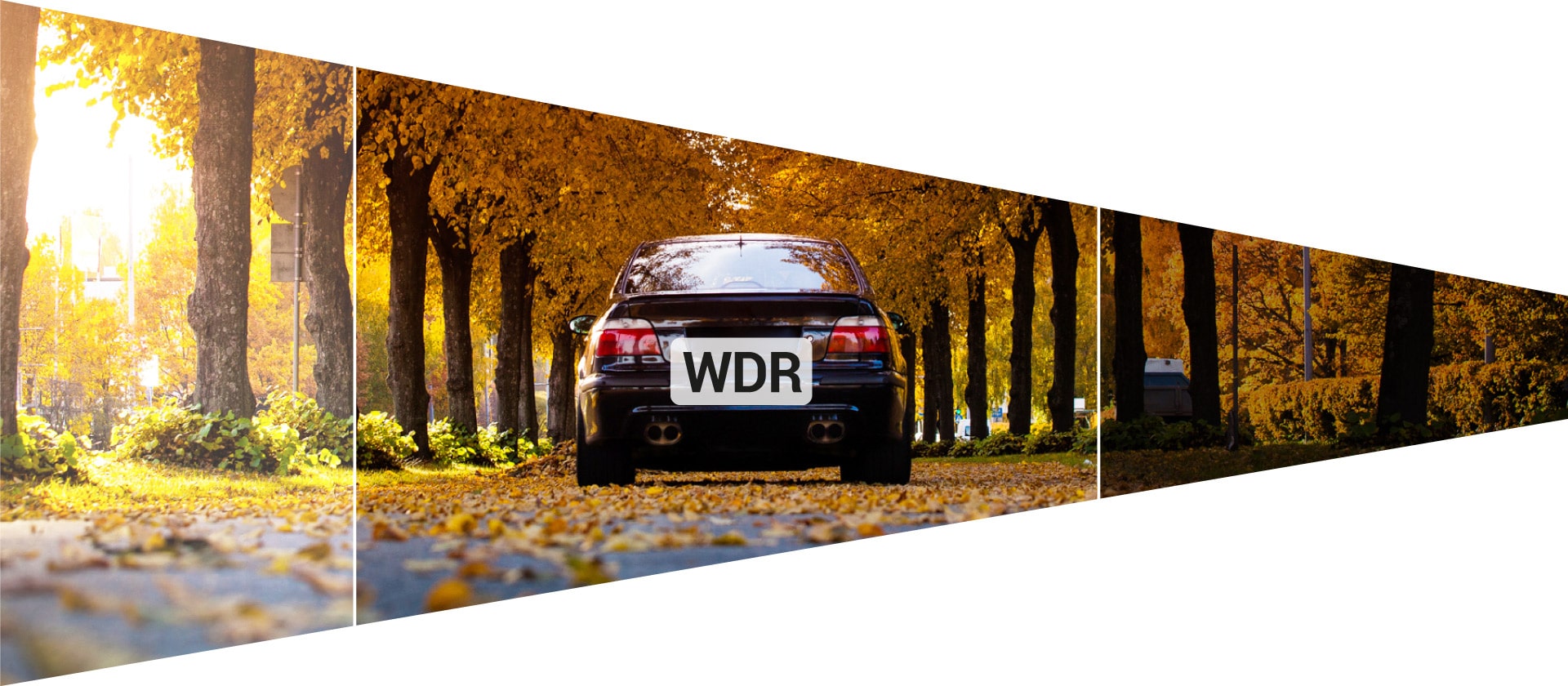 RS2-DUO-5
