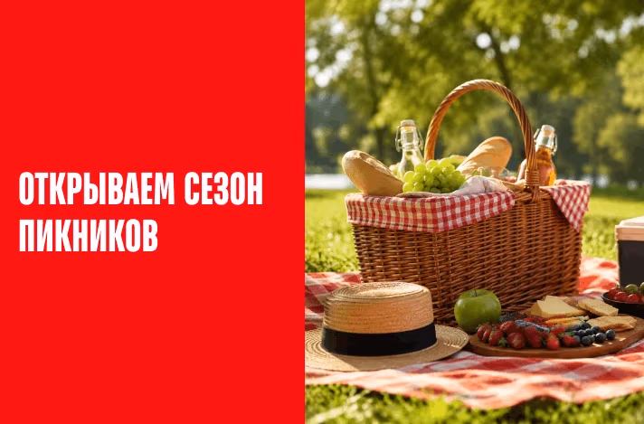 Открываем сезон пикников: как собрать идеальный набор для отдыха на природе и не испортить выходные