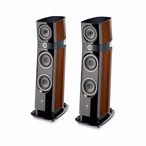 Sisteme audio