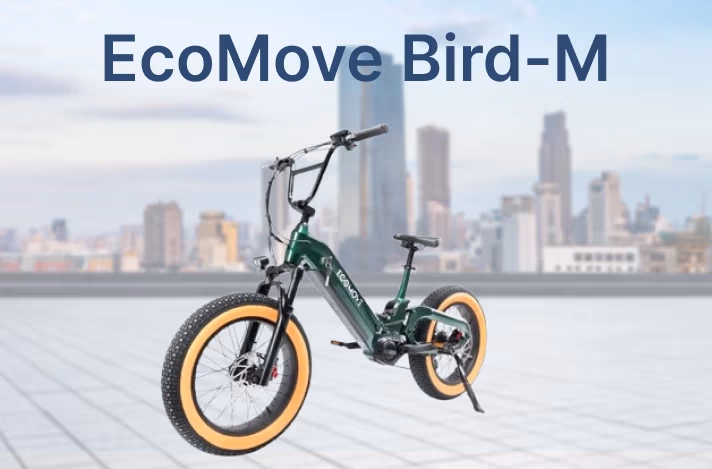 Bicicleta electrică Bird-M: 100 km cu o singură încărcare