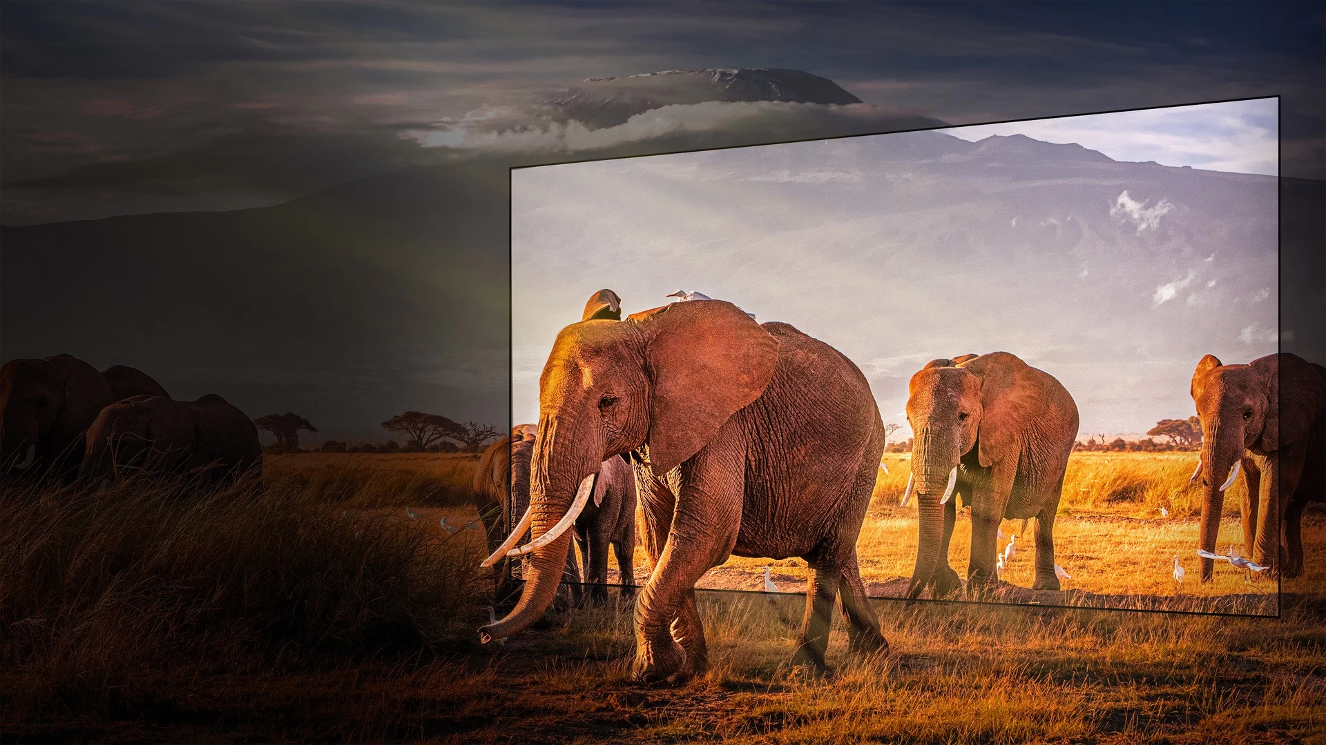 4K Mini LED Hisense 75U7KQ block specification img 5