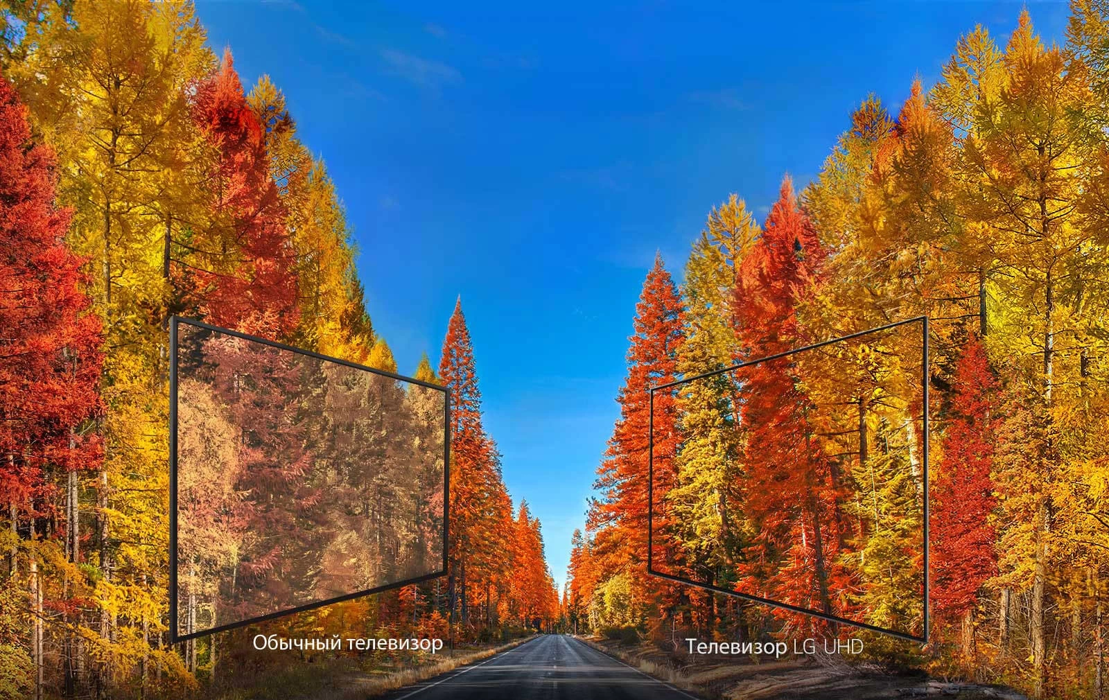 Televizor LED LG 49UK6300 block specification img 7