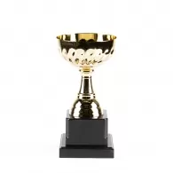 Cupe HAOYUNQI Gold Cup