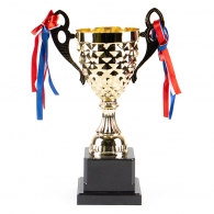 Кубок HAOYUNQI Gold Cup thumbnav