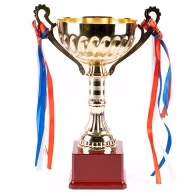 Кубок HAOYUNQI Gold Cup