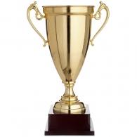 Кубок HAOYUNQI Trophy thumbnav