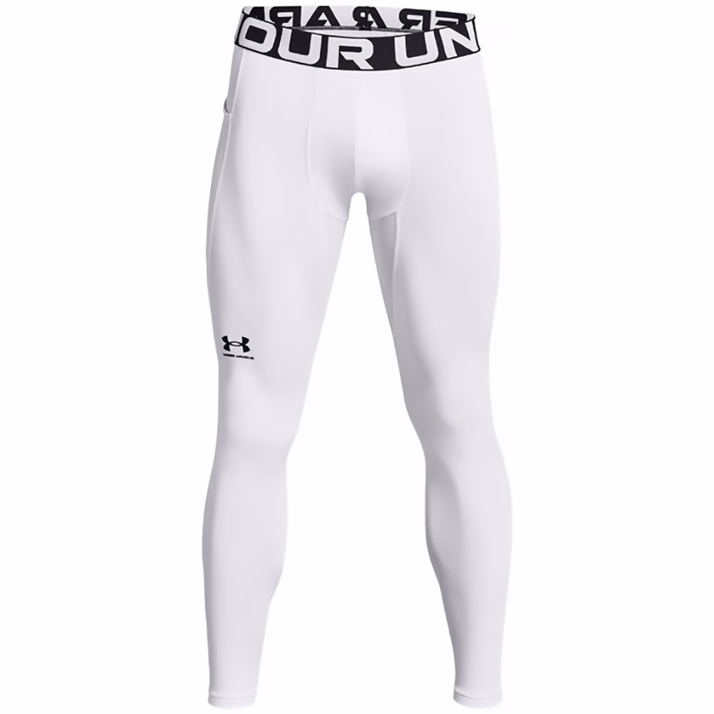 Легинсы термобелье Under Armour UA CG Armour Leggings