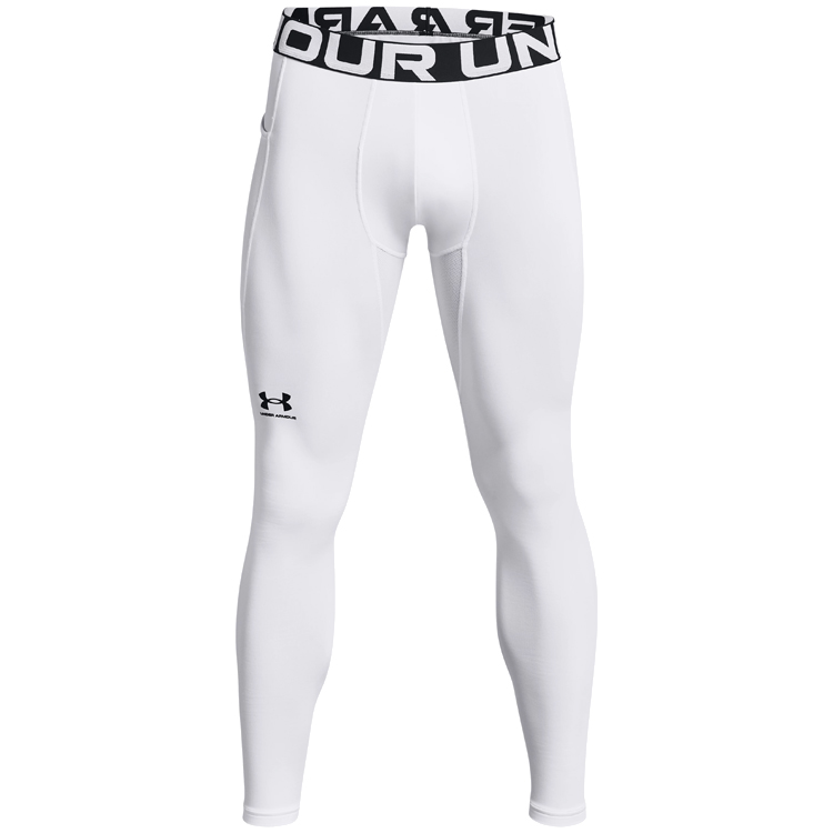 Легинсы термобелье Under Armour UA CG Armour Leggings photo 3