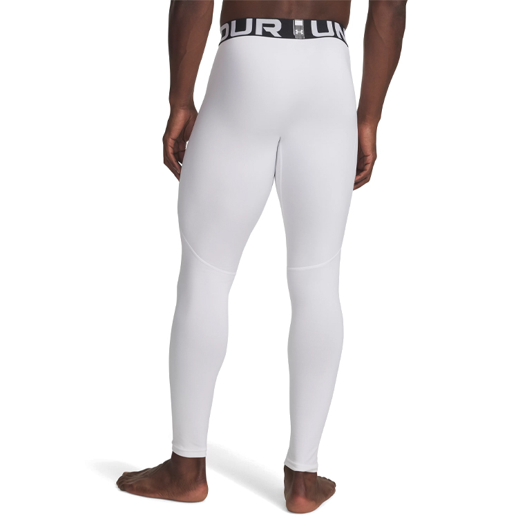 Легинсы термобелье Under Armour UA CG Armour Leggings photo 5