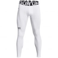 Легинсы термобелье Under Armour UA CG Armour Leggings thumbnav