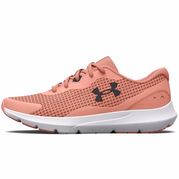Incaltaminte Sport Under Armour UA W Surge 3