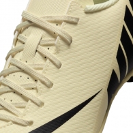 Бутсы Nike JR VAPOR 15 CLUB FG/MG thumbnav 3