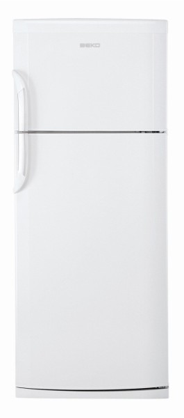 Frigider Beko DSE41000 photo 1