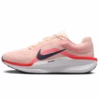 Кроссовки Nike WMNS AIR WINFLO 11