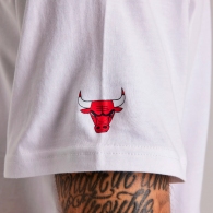 Футболка Nike CHI M NK CTS STMT M90 SSTEE thumbnav 4