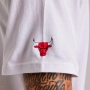 Футболка Nike CHI M CTS STMT M90 SSTEE thumbnav 4