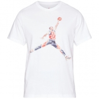 Футболка Nike M J BRAND JM WTRCLR SS CREW thumbnav