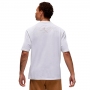 Футболка Nike M JORDAN  FLT ESS WSH 85 SS CREW thumbnav 3