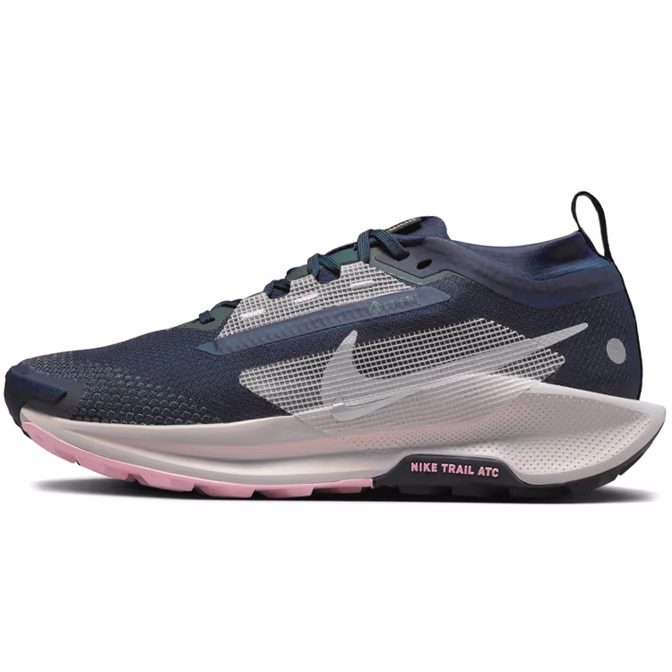 Incaltaminte Sport Nike W PEGASUS TRAIL 5 GTX