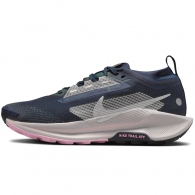 Incaltaminte Sport Nike W PEGASUS TRAIL 5 GTX thumbnav