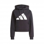 Толстовка Adidas W ST Hoodie thumbnav 1