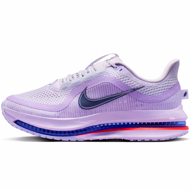 Кроссовки Nike PEGASUS PREMIUM