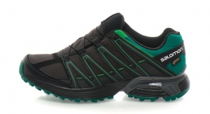 Кроссовки Salomon XT ASAMA GTX® thumbnav 1