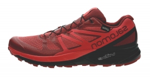 Incaltaminte Sport Salomon SENSE RIDE GTX INVISIBLE FIT RD D thumbnav 1