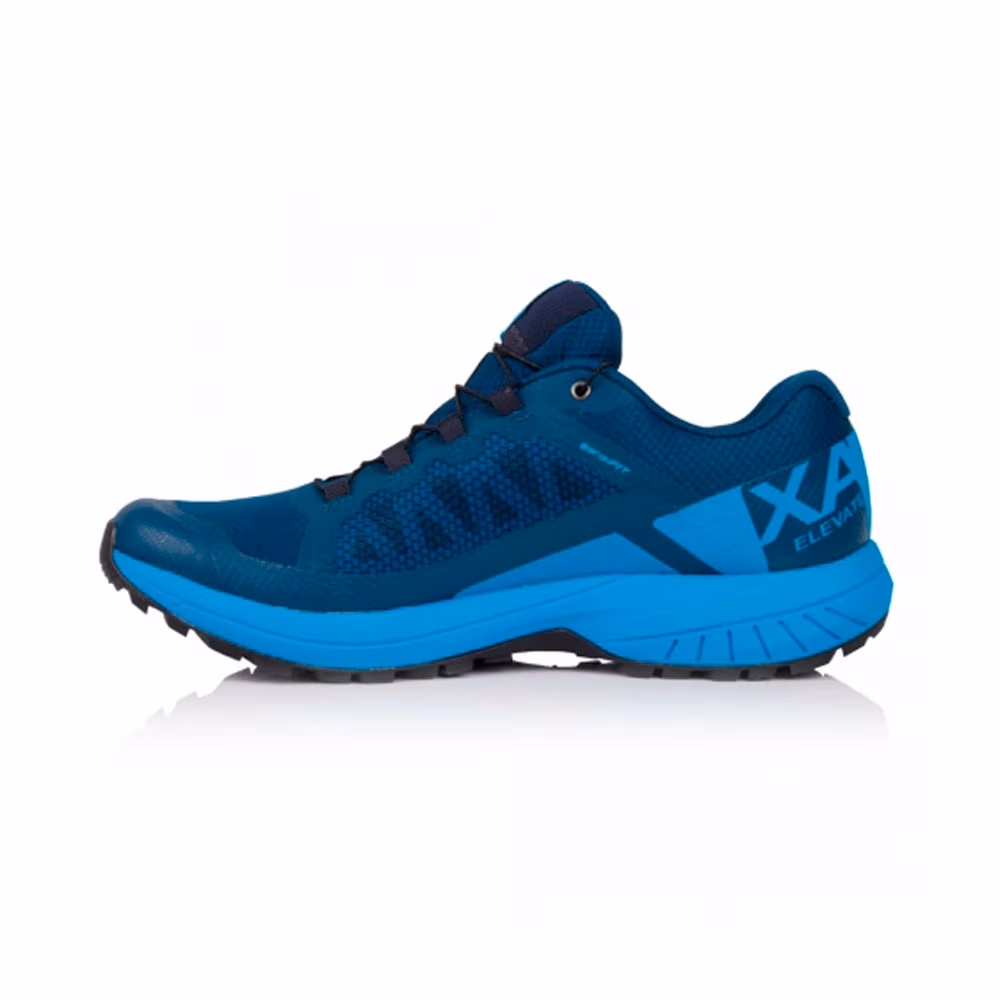 Кроссовки Salomon SHOES XA ELEVATE 2 GTX