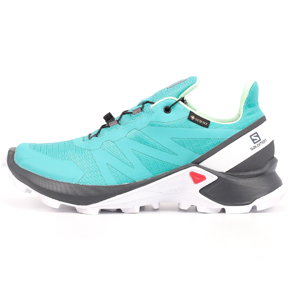 Incaltaminte Sport Salomon SHOES SUPERCROSS GTX