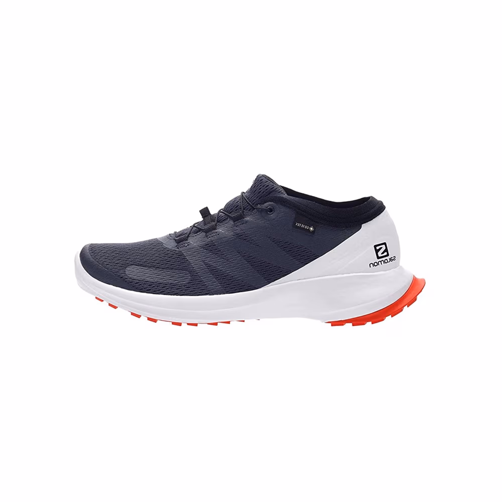 Кроссовки Salomon SHOES SENSE FLOW GTX