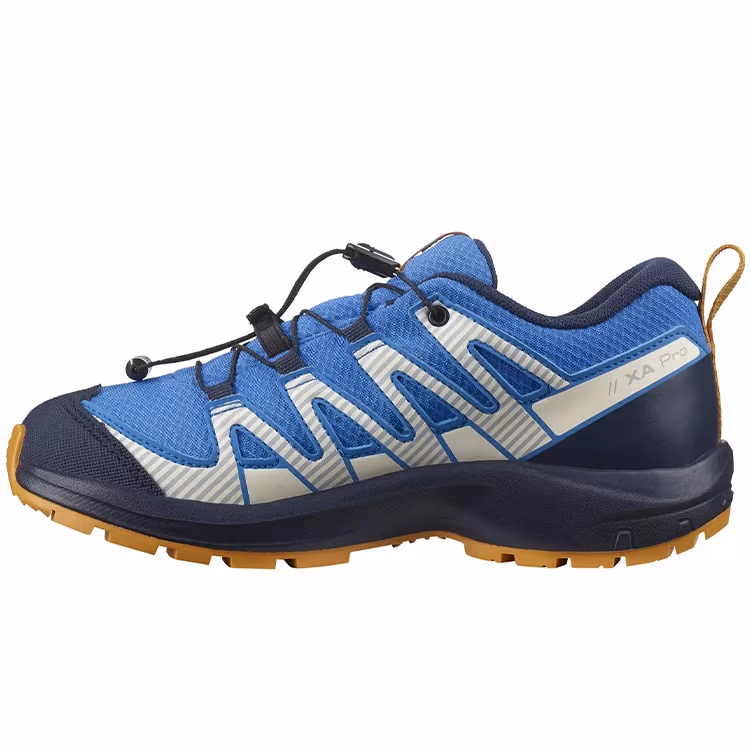 Incaltaminte Sport Salomon SHOES XA PRO V8 CSWP J