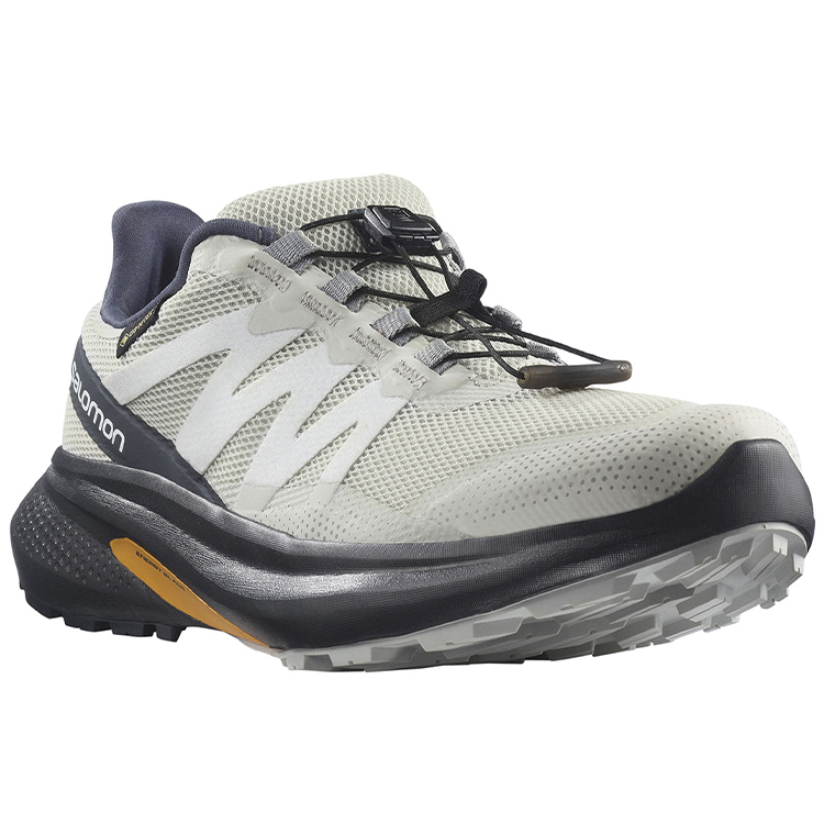 Incaltaminte Sport Salomon SHOES HYPULSE GTX W pt Femei / 36.5 / Bej photo 2
