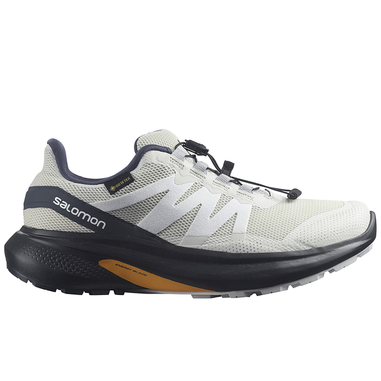 Incaltaminte Sport Salomon SHOES HYPULSE GTX W pt Femei / 36.5 / Bej photo 3