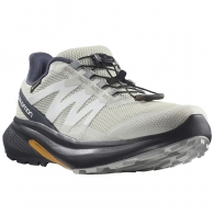 Incaltaminte Sport Salomon SHOES HYPULSE GTX W thumbnav 2