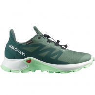 Incaltaminte Sport Salomon SUPERCROSS 3 GTX W thumbnav 4